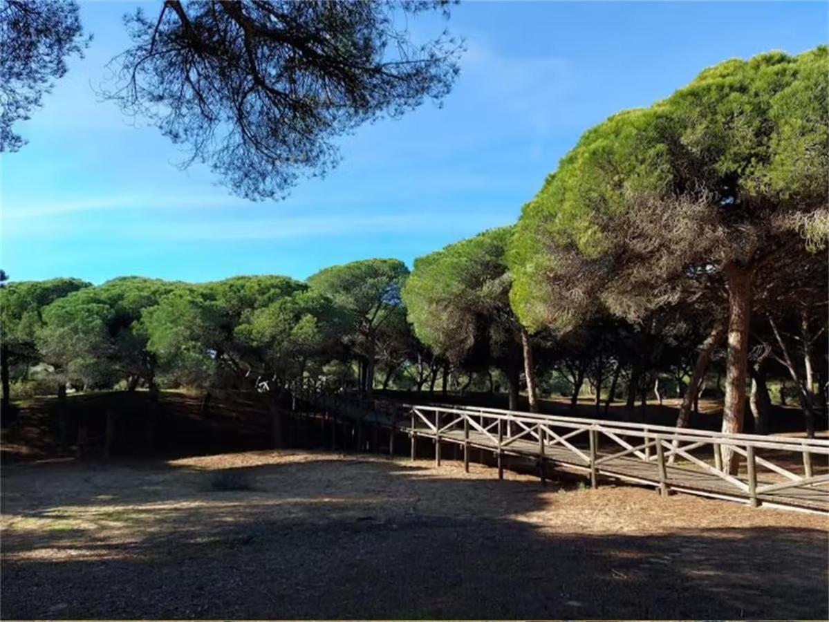 Rota Punta Candor Terrace Playa 3 Bajo C Eksteriør bilde