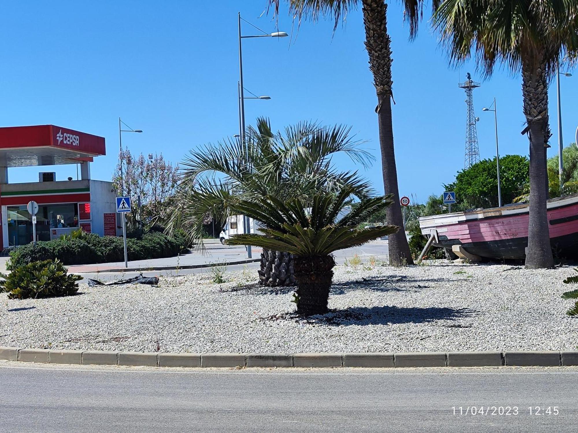 Rota Punta Candor Terrace Playa 3 Bajo C Eksteriør bilde
